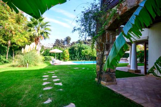 Villa Palmira