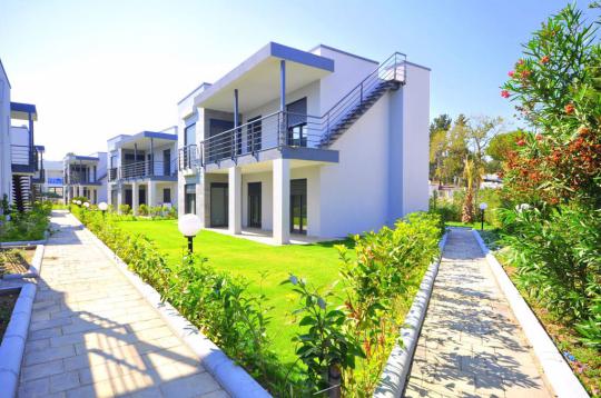 Maritimo Orkide