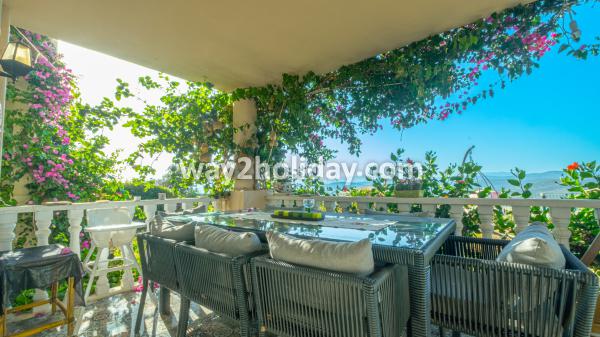 Flamingo Country Club Mel 31